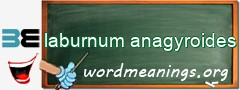 WordMeaning blackboard for laburnum anagyroides